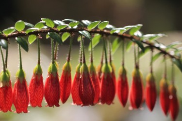 东莞麻涌私人快速借钱网，轻松解决资金难题