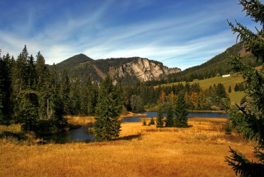 东莞麻涌民间私贷攻略：揭秘低成本借贷的秘密