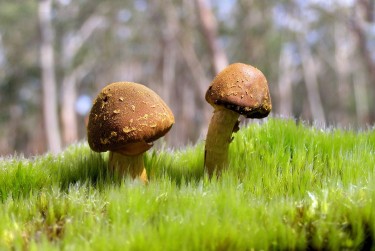 东莞麻涌私人老板放款：轻松融资的秘密通道